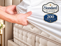 Fitted Standard Classic Sheet