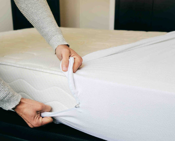 Standard Bed Bug Mattress Protector